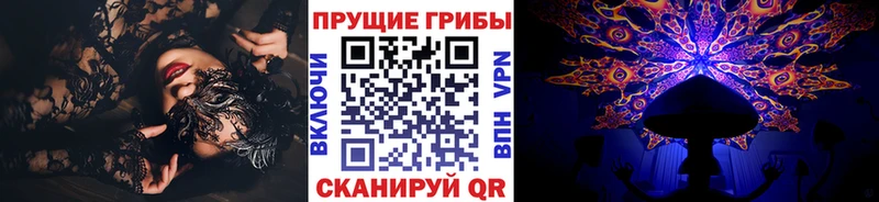купить наркоту  Щёкино  Галлюциногенные грибы мухоморы 